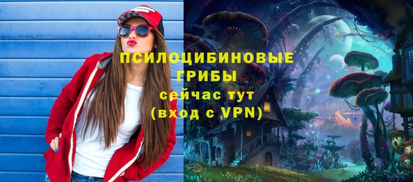ПСИЛОЦИБИНОВЫЕ ГРИБЫ Абинск
