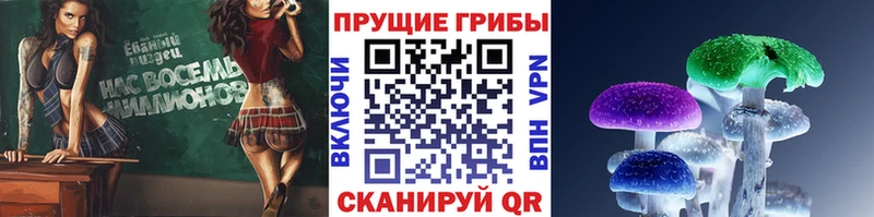 цены наркотик Власиха Псилоцибиновые грибы прущие грибы